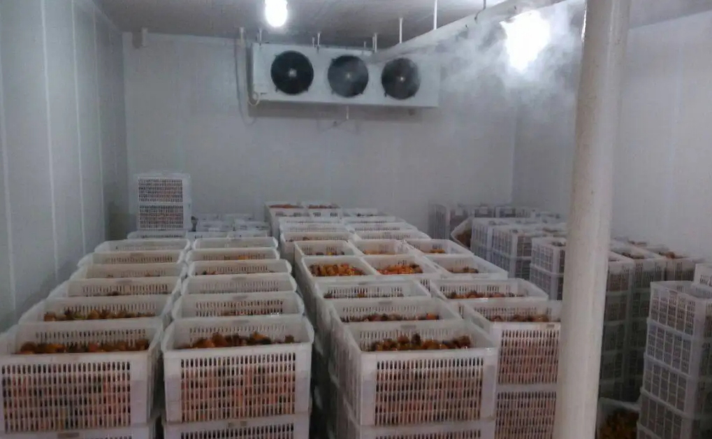 生鮮冷庫(kù)管理系統(tǒng)：專注于第三方生鮮冷庫(kù)管理